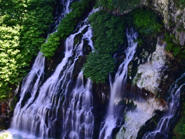 ���Ђ��̑�@�┧��`��锒���؂́A�܂��ɂ���������̕E�ł��B_���Ђ��̑�