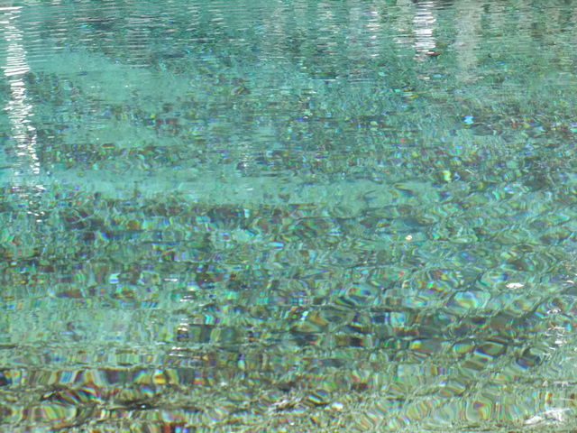 ���͐�����ł��āA�j������A�����N���u�Ԃ�����܂��B_�ʕ{�ٓV�r