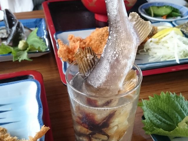 Ȃ҂񂳂̂Ȃ̌c {όȂ̓eʐ^4