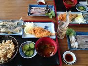 Ȃ҂񂳂̂Ȃ̌c {όȂ̓eʐ^1