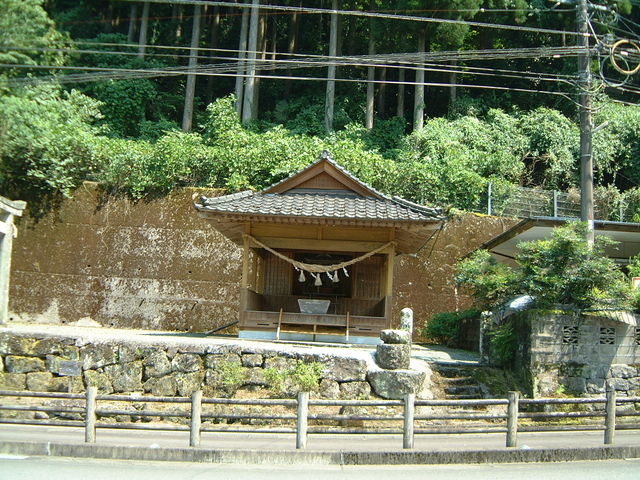 Ԃ񂳂̐쌴_{̓eʐ^2