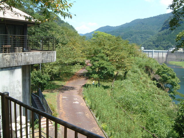 Ԃ񂳂̖Ȋ΍؂̓eʐ^2