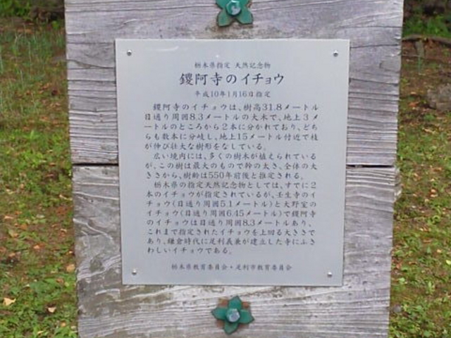 �f�����̑傢���傤