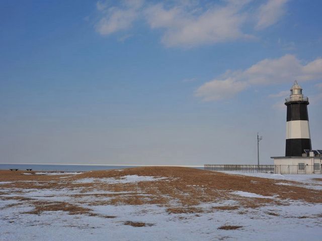 �V���{������~�i�F_�\�斦�C��