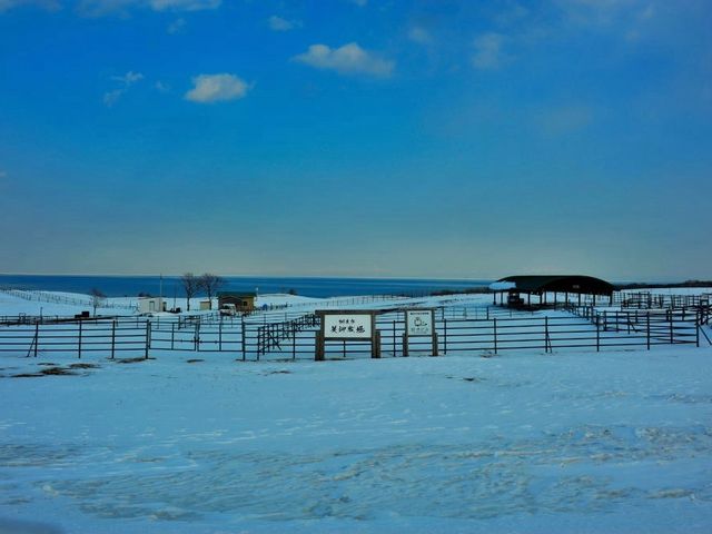 �����q��_�\�斦�C��