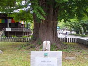 komof̑傢傤̓eʐ^2