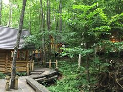 q}̃VbsO[hujOeXvւ̓eʐ^1