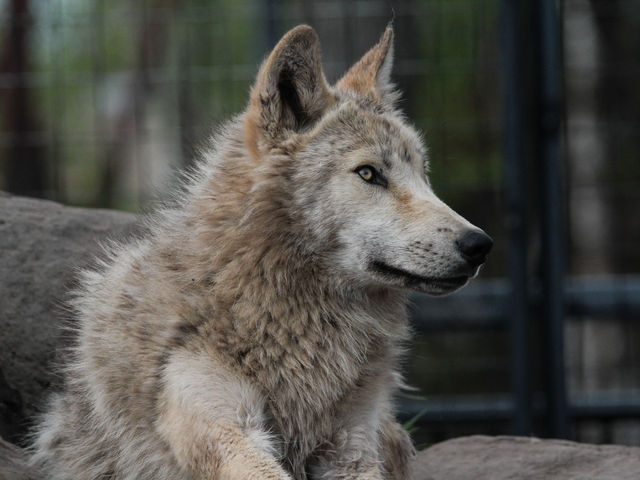 �I�I�J�~�B���i������܂��B_���R������