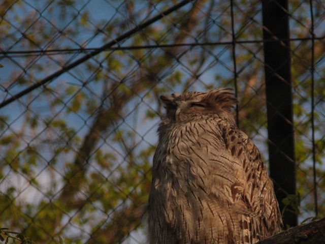 �ƂĂ��C�����悳�����ł��B_���R������