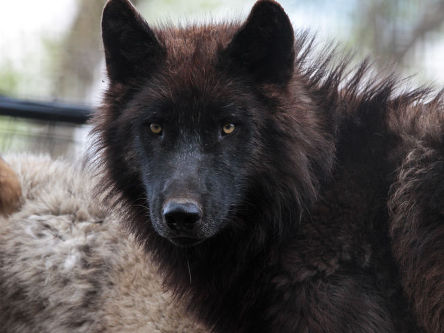 �I�I�J�~����_���R������