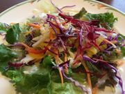 ܂܂̃J[TJ[m CASA CARINO̓eʐ^2