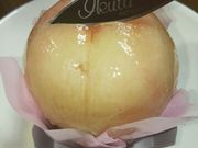 O؂َ̂qH[  {X̓eʐ^1