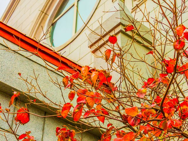 N₩ȍgtfGȌʂ܂B_JgbN