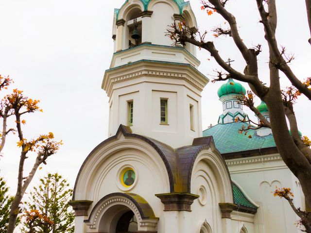 �n���X�g�X������̔��������ǂł��B_���كn���X�g�X������