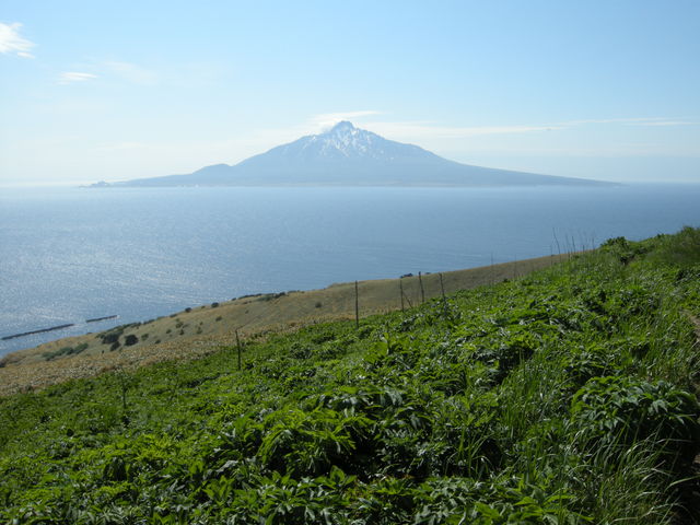 ����t�߂���_�當��