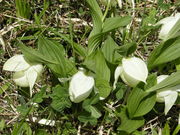 񂳂̃uAc\EQn̓eʐ^3