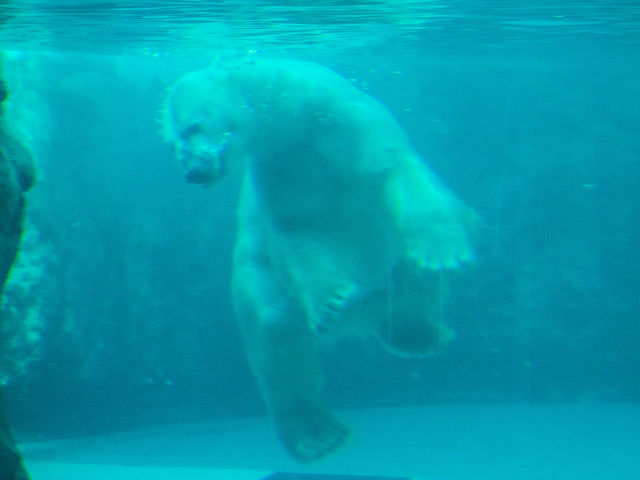 �j���ł���Ƃ���́A�a���^�C���ȂǁA�^�C�~���O������Ȃ��ƂȂ��Ȃ�����Ȃ���������܂���B_���R������