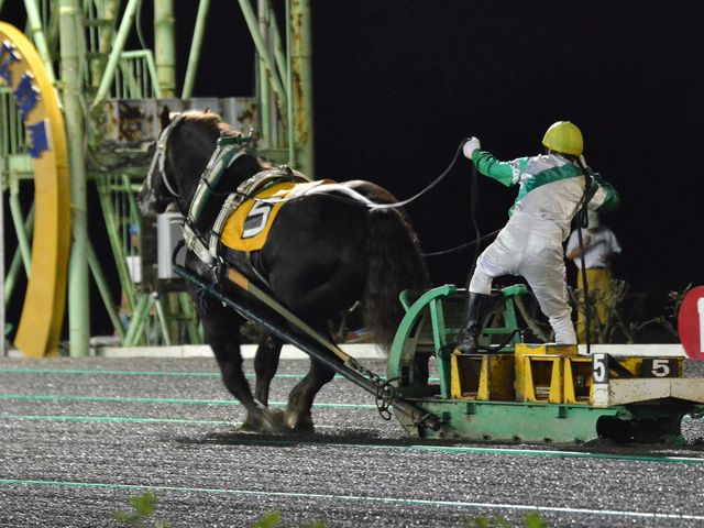 �i�C�^�[���J�Â���Ă���A�܂���������͋C���y���߂܂��B_�эL���n��i�΂񂦂��\���j