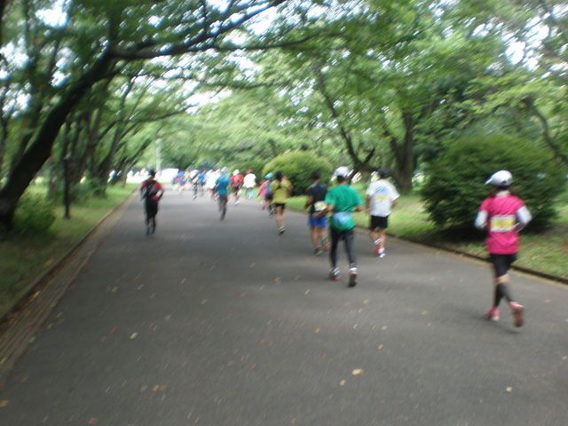 ����_���c����q��L�O����