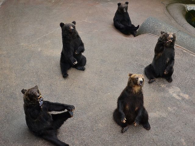 �a���˂���F���ƂĂ��J���C�C�ł��B_���a�V�R�F�q��