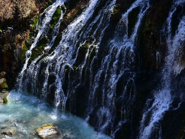 ���E�̑�̔w�i�ɂ͎c��̐�R�������܂�����_���Ђ��̑�