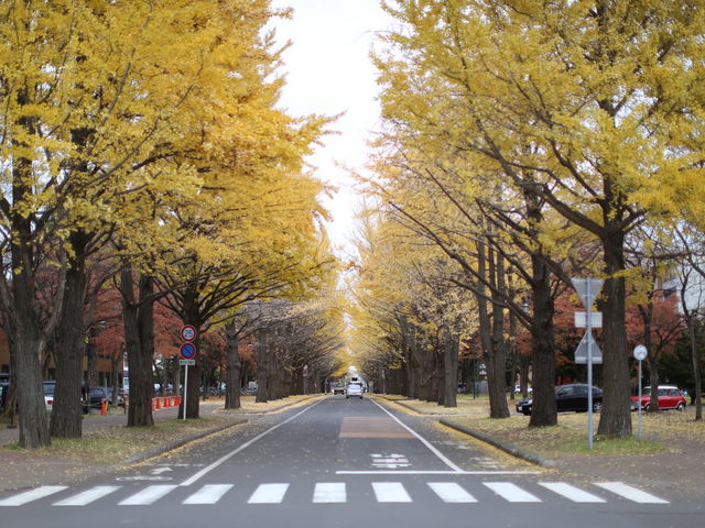 �k��C�`���E���؂ł�_�k��C�`���E����