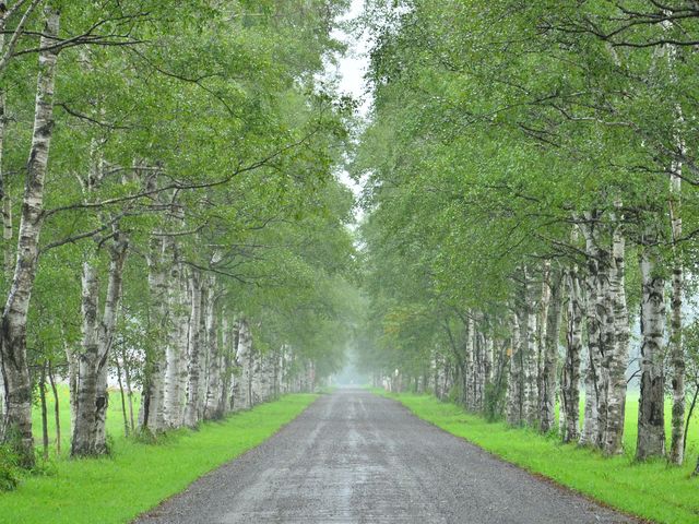 Jؓ̕
̐΂炭Ə\qW]䂪܂B_ƒ{ǃZ^[\qW]