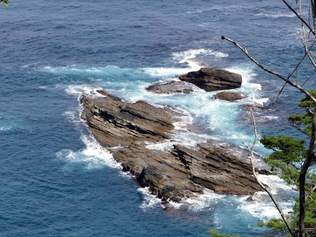 �C���Y��ł�_�F�̕@�W�]��