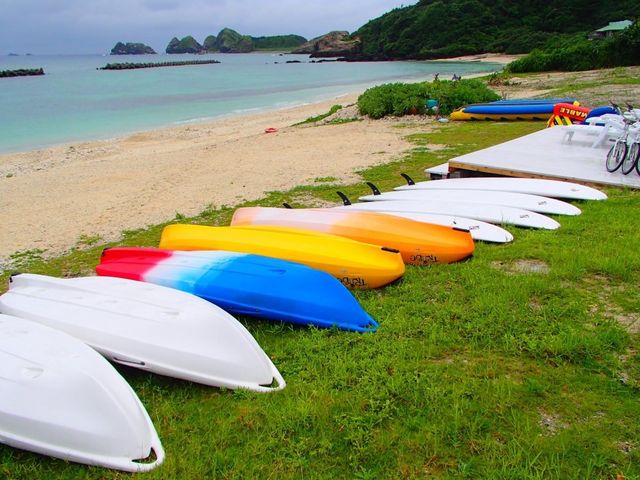 �r�[�`���U�����Ă���J���t���ȃ{�[�h���B���̋߂��̃e���X�ȂŃJ�N�e���W���[�X�����݂܂����B_���Ó�