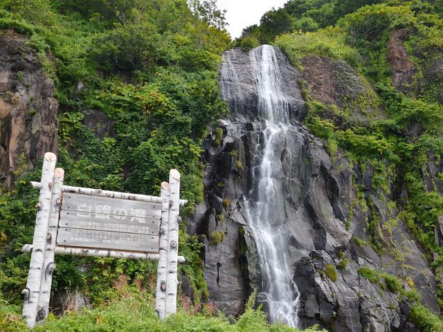 �Ă̏�����Y��邱�Ƃ��o���܂����B_����̑�