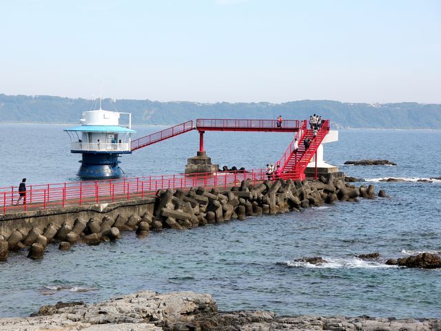 �C���W�]��_���{�C������