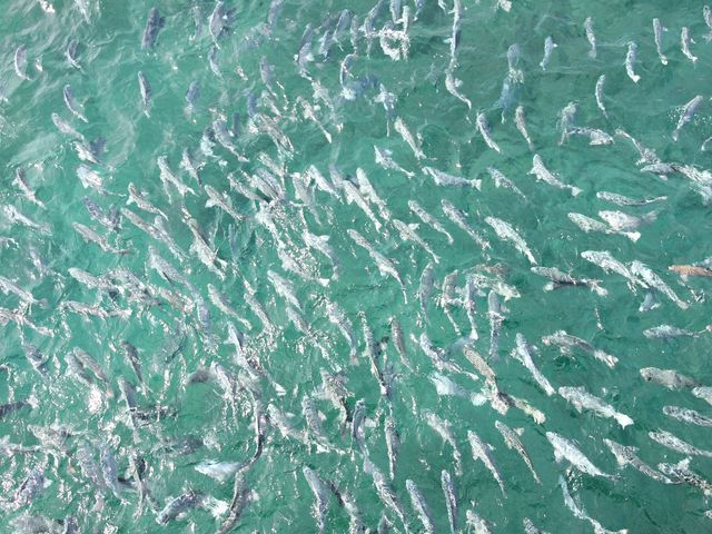 �W�܂��ė�����_���{�C������