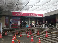 ꂨ񂳂̐MBc^cۑ̓h}قւ̓eʐ^3