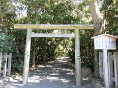 �����݂���̌䉖�a�_�Ђւ̓��e�ʐ^1