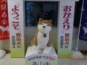 S[O1311̑ٔ\`̓eʐ^2