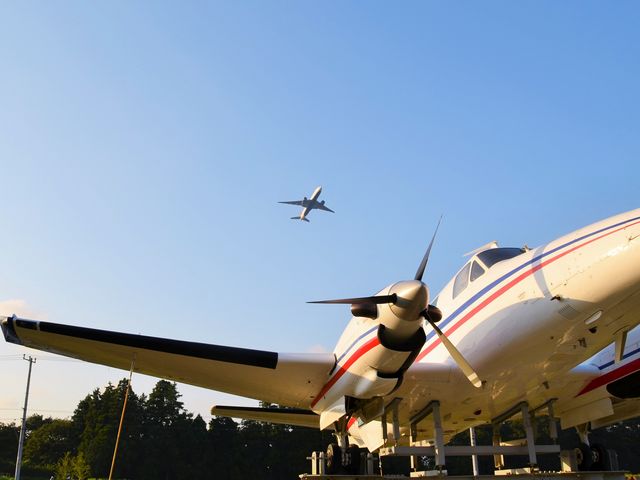 ZXĩIuWFƔї΂̔s@_̉w a΂