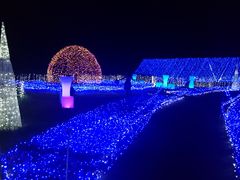 ҂̔lÉ̈䃊][gXpւ̓eʐ^1