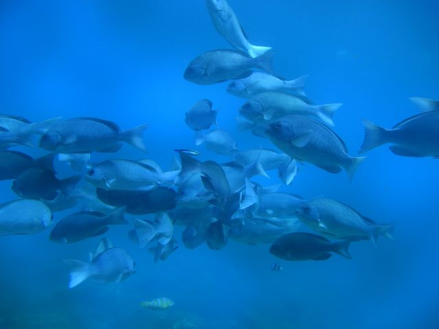 �C���W�]�����猩���鋛�B_���{�C������