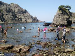 ̂񂳂̃q]lւ̓eʐ^1