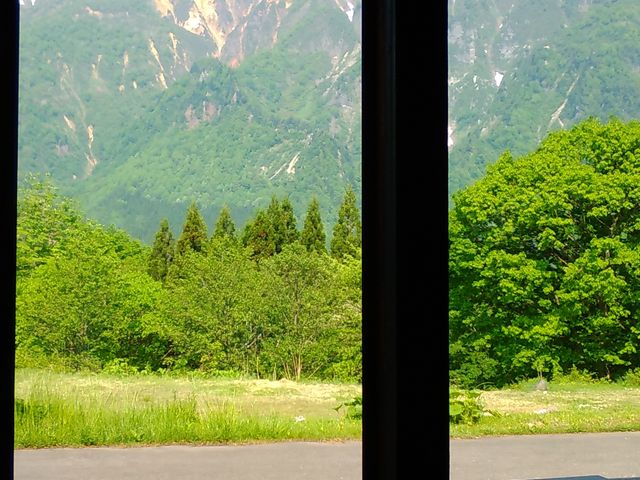 �ӂ��݂̃j�b�J�{�b�J�[�Y����̏�쌴����̓��e�ʐ^1