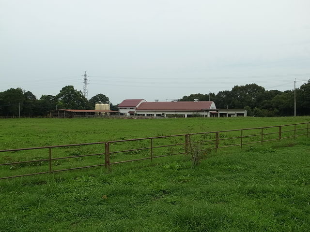 Ђł񂳂̋it@~[q̓eʐ^1