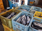 񂽂́iЁjysό@̓eʐ^2