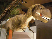 TANY����̌Q�n�������R�j�����ق̓��e�ʐ^2