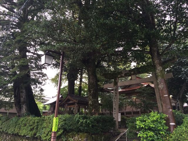 �J�̎O���_��_�O���_��