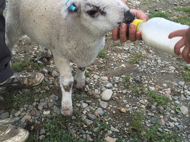 �q�Ђ��̎������i�ł��B_�n�C�W�q��