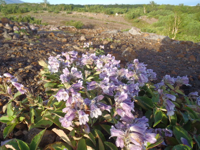 �\���x�]�x��