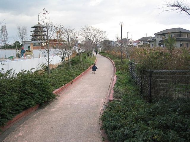 Ђł񂳂̗Γł݂̂̓eʐ^1