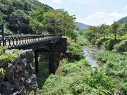 boshi����̉H�����S���̓��e�ʐ^1