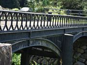 boshi����̉H�����S���̓��e�ʐ^3