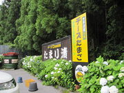 񂳂̓܂Ж{܂{X̓eʐ^2